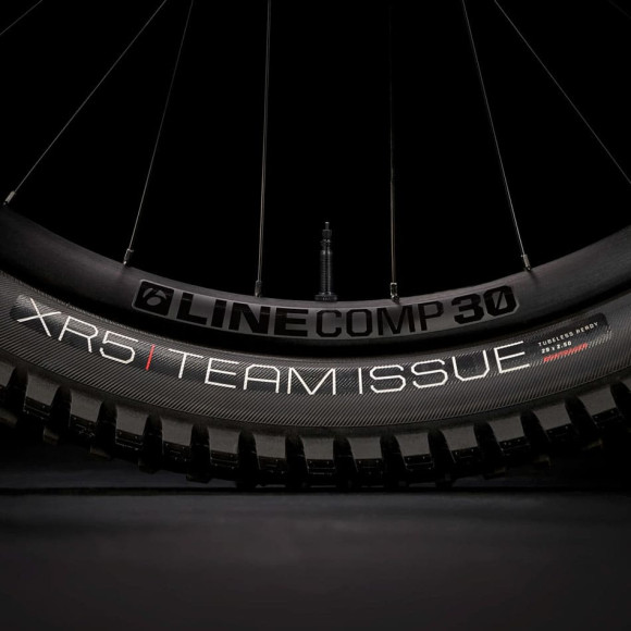 Trek Fuel EX 8 XT Gen 6 29 2025